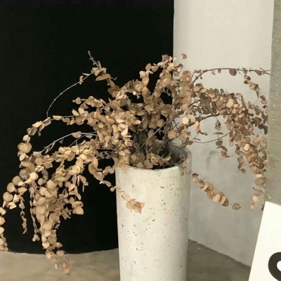 Furry赛博风格设计技巧Furry群